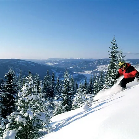 ホテル ネルモ ホテル&アパートメンツ